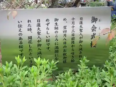 妙蓮寺のその他建物