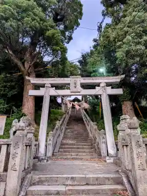 長尾神社の{uncategorized: "未分類", other: "その他", undefined: "問題あり", building: "その他建物", grave: "お墓", sacred_gate: "鳥居", guardian: "狛犬", statue: "像", buddha: "仏像", history: "歴史", nature: "自然", garden: "庭園", animal: "動物", pagoda: "塔", temizu: "手水舎", mountain_gate: "山門・神門", sanctuary: "本殿・本堂", subordinate: "末社・摂社", art: "芸術", scenery: "景色", jizo: "地蔵", ema: "絵馬", goshuin: "御朱印", omikuji: "おみくじ", items: "授与品その他", amulet: "お守り", goshuincho: "御朱印帳", eats: "食事", festival: "お祭り", votive_dance: "神楽", shichigosan: "七五三参", wedding: "結婚式", experience: "体験その他", initially: "初詣", around: "周辺", anti_infection: "感染症対策"}