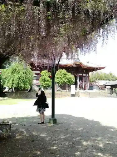 慈恩寺の庭園