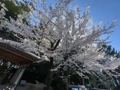 穂高神社本宮(長野県)
