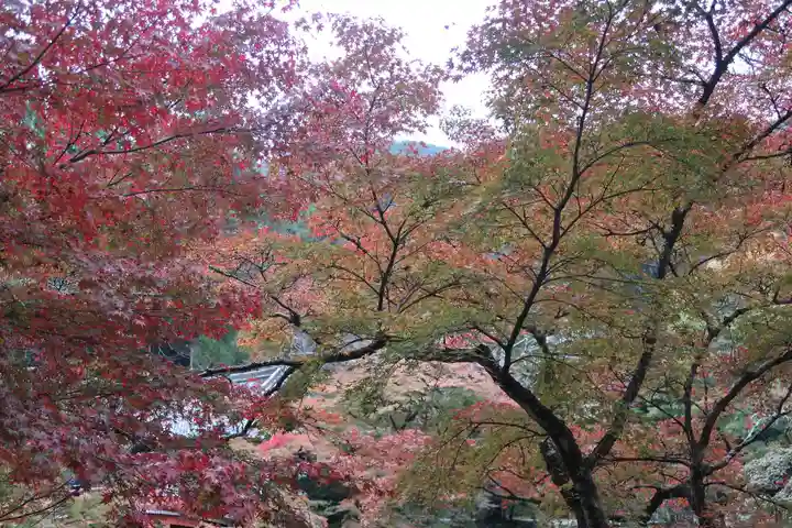 醍醐寺(京都府)