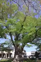 千勝神社(茨城県)