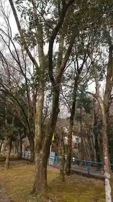 八幡神社の周辺