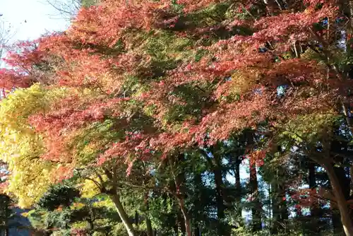 菅船神社の自然
