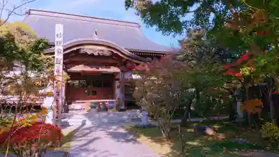 東竹院の本殿・本堂