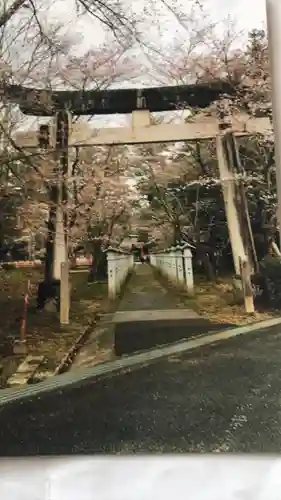 出石神社の鳥居