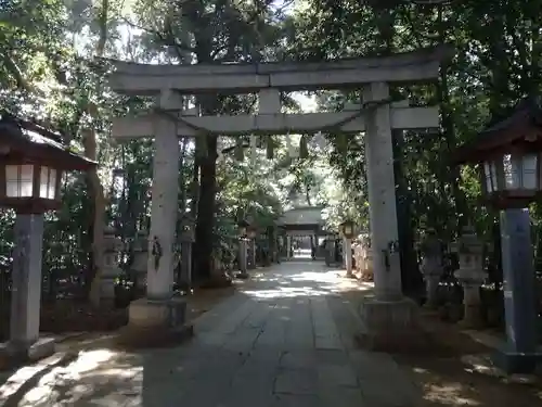 駒木諏訪神社の鳥居