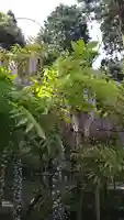 歌泉堂(春日大社神苑萬葉植物園内鎮座)(奈良県)