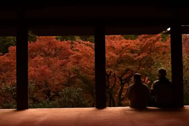 高山寺(京都府)