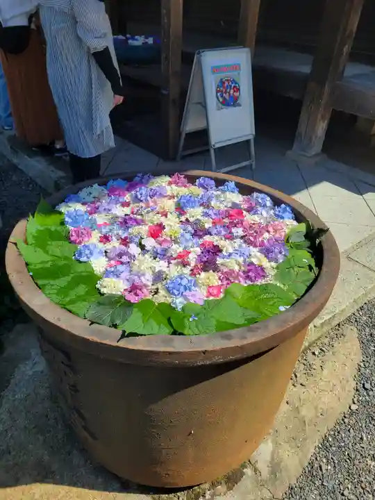 柳谷観音 楊谷寺(京都府)
