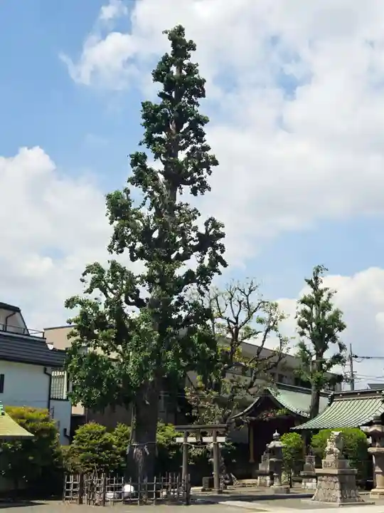 子安八幡神社(北糀谷)(東京都)