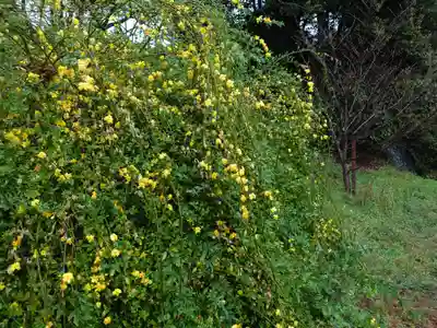 淡海國玉神社(静岡県)