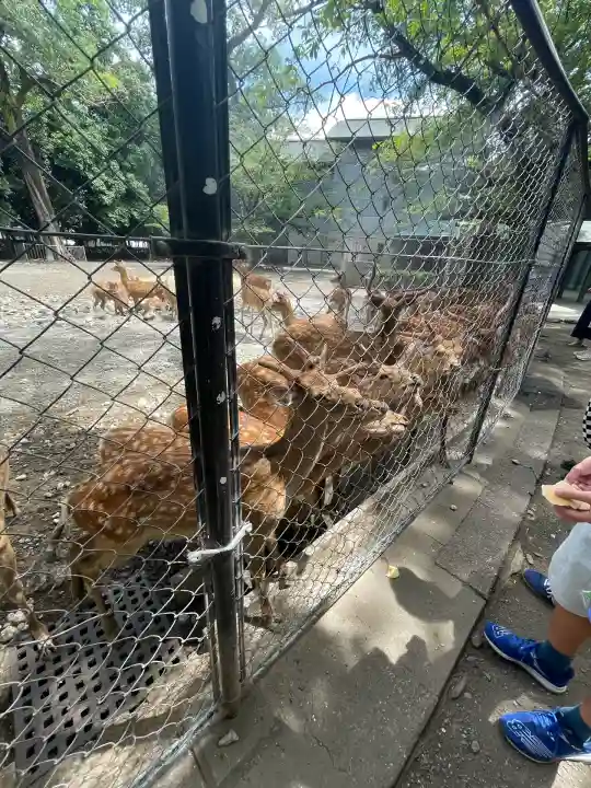 三嶋大社(静岡県)