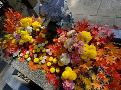 滑川神社 - 仕事と子どもの守り神の手水舎