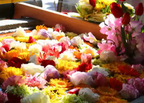 三津厳島神社の手水舎