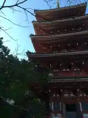 竹林寺の塔