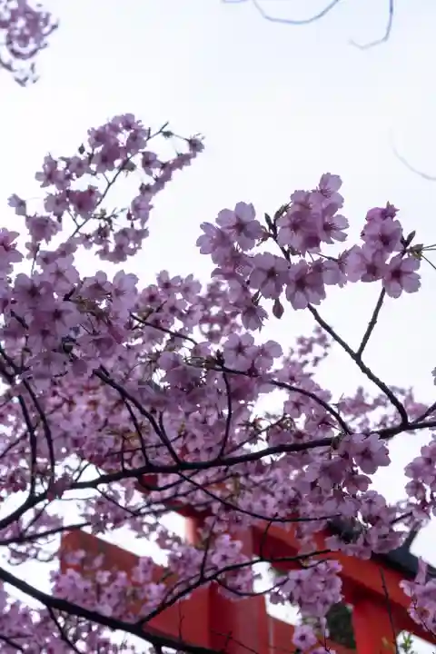 平野神社(京都府)