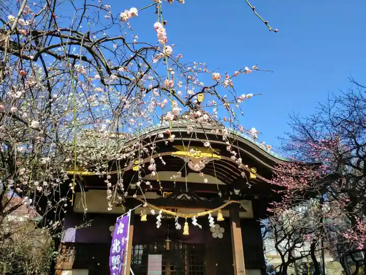 牛天神北野神社(東京都)