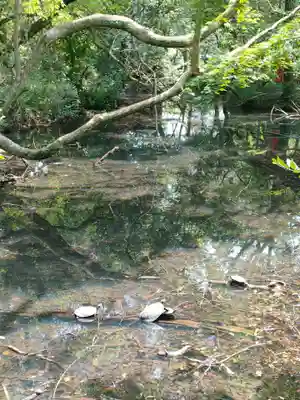 大御堂寺（野間大坊）の庭園