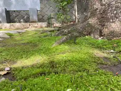 正一位稲荷神社(千葉県)