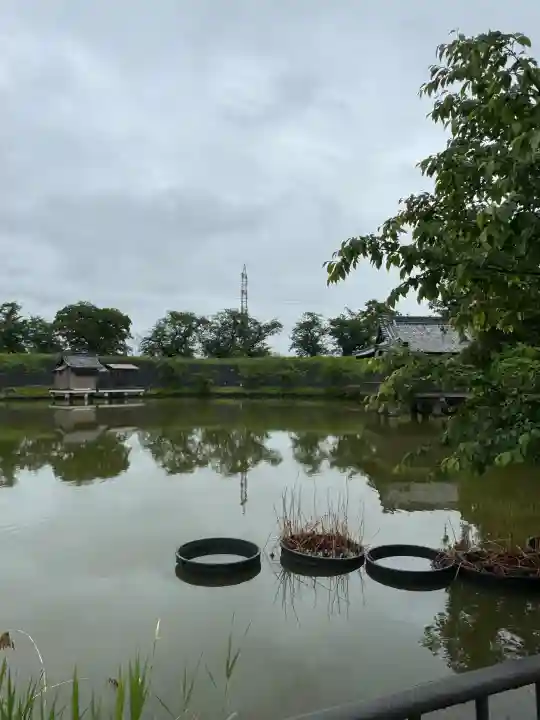 蛇池神社の{uncategorized: "未分類", other: "その他", undefined: "問題あり", building: "その他建物", grave: "お墓", sacred_gate: "鳥居", guardian: "狛犬", statue: "像", buddha: "仏像", history: "歴史", nature: "自然", garden: "庭園", animal: "動物", pagoda: "塔", temizu: "手水舎", mountain_gate: "山門・神門", sanctuary: "本殿・本堂", subordinate: "末社・摂社", art: "芸術", scenery: "景色", jizo: "地蔵", ema: "絵馬", goshuin: "御朱印", omikuji: "おみくじ", items: "授与品その他", amulet: "お守り", goshuincho: "御朱印帳", eats: "食事", festival: "お祭り", votive_dance: "神楽", shichigosan: "七五三参", wedding: "結婚式", experience: "体験その他", initially: "初詣", around: "周辺", anti_infection: "感染症対策"}