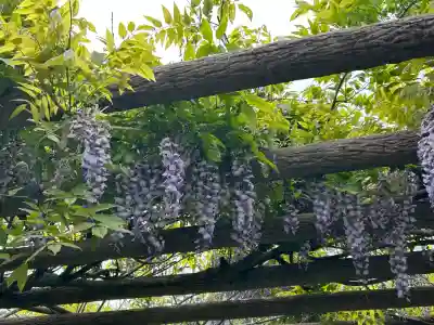 国宝 大法寺(長野県)