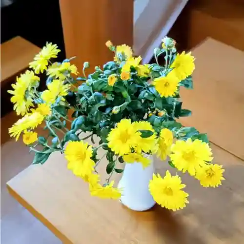 彌彦神社　(伊夜日子神社)の本殿・本堂