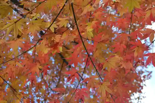 永保寺(岐阜県)