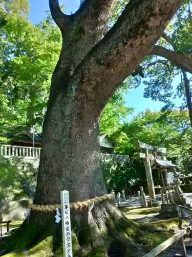 事任八幡宮の自然