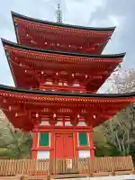 岡寺(龍蓋寺)の{uncategorized: "未分類", other: "その他", undefined: "問題あり", building: "その他建物", grave: "お墓", sacred_gate: "鳥居", guardian: "狛犬", statue: "像", buddha: "仏像", history: "歴史", nature: "自然", garden: "庭園", animal: "動物", pagoda: "塔", temizu: "手水舎", mountain_gate: "山門・神門", sanctuary: "本殿・本堂", subordinate: "末社・摂社", art: "芸術", scenery: "景色", jizo: "地蔵", ema: "絵馬", goshuin: "御朱印", omikuji: "おみくじ", items: "授与品その他", amulet: "お守り", goshuincho: "御朱印帳", eats: "食事", festival: "お祭り", votive_dance: "神楽", shichigosan: "七五三参", wedding: "結婚式", experience: "体験その他", initially: "初詣", around: "周辺", anti_infection: "感染症対策"}