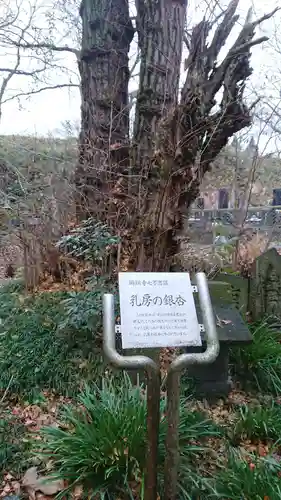 珊瑚寺のその他建物