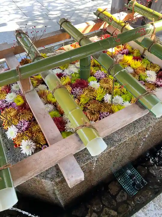 多賀大社の手水舎