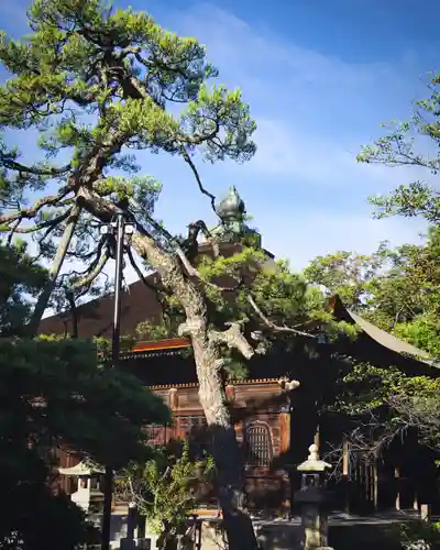 善光寺(長野県)