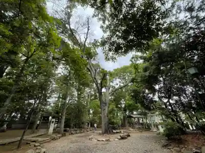 世田谷八幡宮のその他建物
