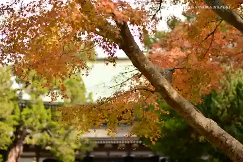 円覚寺のその他建物