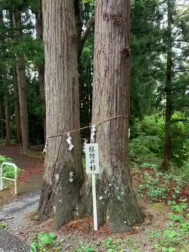 鹽竃神社の自然