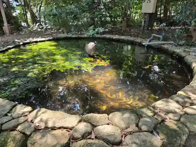 越木岩神社(兵庫県)
