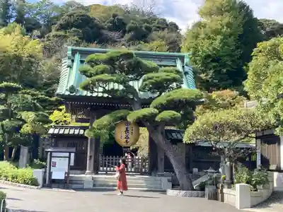 長谷寺の山門・神門
