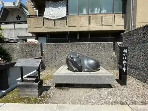 中野天満神社の狛犬