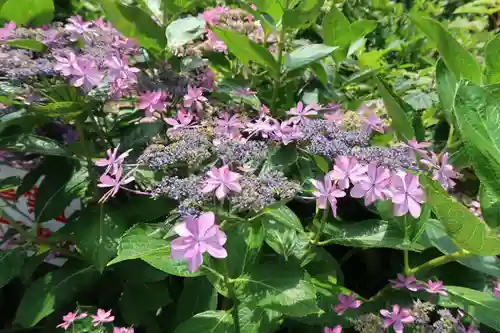 性海寺(愛知県)