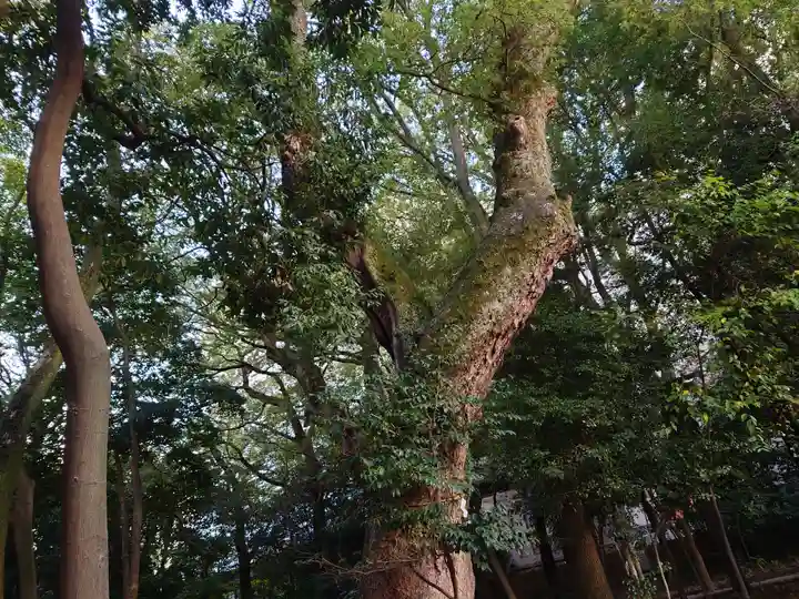 生田神社(兵庫県)