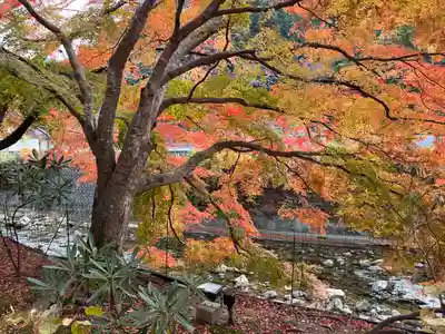 室生寺(奈良県)