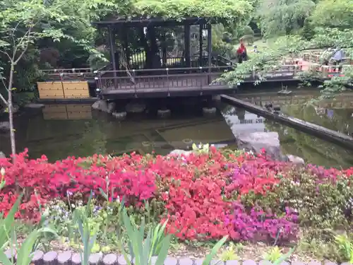 東郷神社の庭園