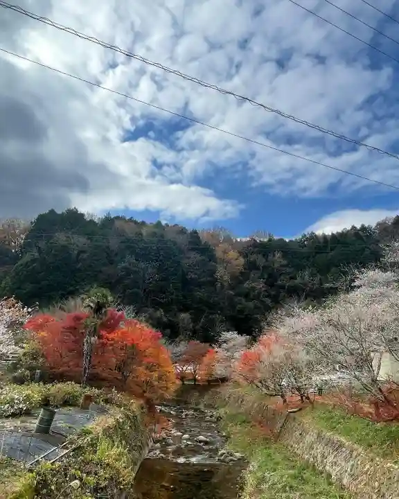 川見薬師寺(愛知県)