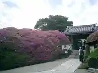 安養院 (田代寺)の山門・神門