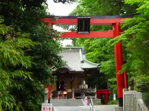 白笹稲荷神社の鳥居