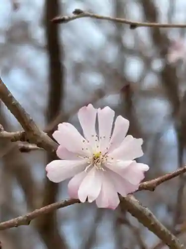 下太田廃寺塔跡(兵庫県)