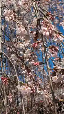 本満寺(本願満足寺)(京都府)