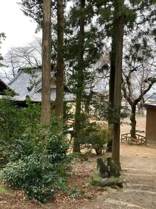 近戸神社(群馬県)