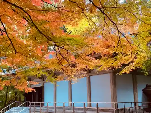 中尊寺の本殿